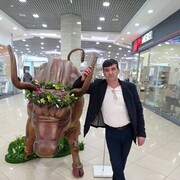  ,   , 56 ,   ,   