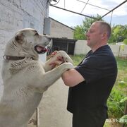  ,   , 44 ,   ,   , 