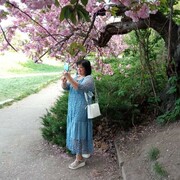 ,   , 65 ,     , c 