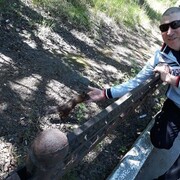  ,   , 48 ,   ,   