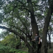  -,   Evgeny, 38 ,   ,   , c , 