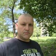 ���������� ��������, ���� ������� SPelfox, 37 ���, ������������ ��� ����� � ���������, c�������� ���������