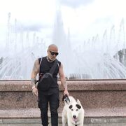 ���������� �����-���������, ���� ������� Gao, 42 ����, ������������ ��� ������, ����� � ���������