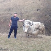  ,   , 36 ,   