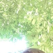  -,   , 36 ,   ,   