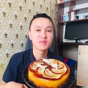 ���������� ��������, ���� ������� Aibos, 40 ���, ������������ ��� ������, ����� � ���������, c�������� ���������