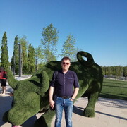 ���������� ���������, ���� ������� ���������, 55 ���, ������������ ��� ������