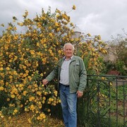 ,   , 73 ,   , 