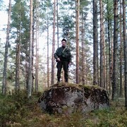 ���������� ���������, ������� ������, 45