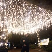 ���������� �����������, ���� ������� ����, 38 ���, ������������ ��� ������, ����� � ���������, c�������� ���������