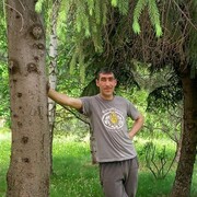  Jelcz,  , 44