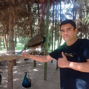 ���������� �������, ���� ������� Fardin, 41 ���, ������������ ��� ������, ����� � ���������, c�������� ���������, ���������