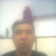  ,   Boris, 48 ,   ,   , c 
