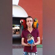 ���������� ������, ���� ������� �����, 31 ���, ������������ ��� ������, ����� � ���������