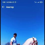  -,   oxir, 33 ,   ,   