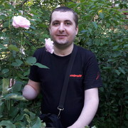   ,   , 42 ,   