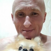 ���������� ����, ���� ������� ������, 45 ���, ������������ ��� ������, ����� � ���������, c�������� ���������