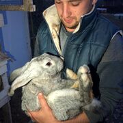 ���������� ������, ���� ������� ����, 32 ����, ������������ ��� ������, ����� � ���������