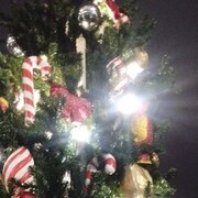 ���������� �����-���������, ���� ������� �����, 35 ���, ������������ ��� ������, ����� � ���������, c�������� ���������