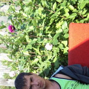  ,   , 38 ,   ,   , c 