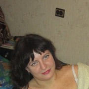  ,   , 41 ,   