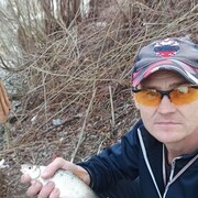 ���������� �����������, ���� ������� ϸ��, 50 ���, ������������ ��� ������, ����� � ���������