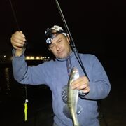 ���������� ������, ���� ������� ������, 47 ���, ������������ ��� ������, ����� � ���������