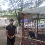  ,   Anar, 42 ,   