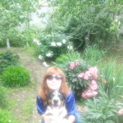 ���������� ����, ���� ������� ��������, 40 ���, ������������ ��� ������, ����� � ���������, c�������� ���������