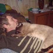 ���������� ���������, ���� ������� �������, 67 ���, ������������ 