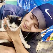 ���������� ������, ���� ������� �����, 26 ���, ������������ ��� ������