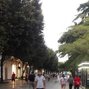  ,   Ashot, 35 ,   ,   , c 