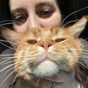  ,   , 25 ,   c 