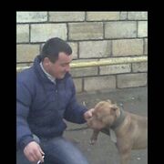 ���������� ������, ���� ������� �����, 48 ���, ������������ ��� ������, ����� � ���������