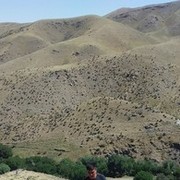 ���������� �����-���������, ���� ������� �����, 34 ����, ������������ ��� ������, ����� � ���������, c�������� ���������, ���������