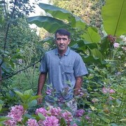 ���������� ����-���������, ���� ������� �����, 45 ���, ������������ ��� ������, ����� � ���������