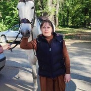  ,   , 49 ,   ,   