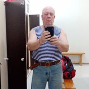 ���������� �����������-��-�����, ���� ������� �������, 48 ���, ������������ ��� ����� � ���������, c�������� ���������