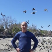  ,   , 54 ,   ,   