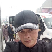  ,   KoljaEvropa, 43 ,     , c , 