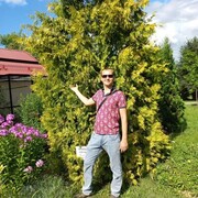  ,   , 37 ,     , c 