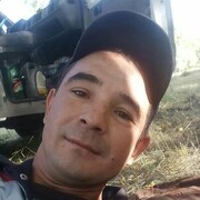 ���������� ���������, ���� ������� ������, 38 ���, ������������ ��� ������, ����� � ���������, c�������� ���������