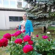  -,   , 48 ,   ,   