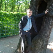  ,   Gmur, 50 ,   
