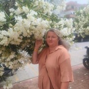  -,   , 40 ,  