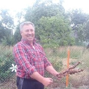 ���������� �����, ���� ������� ��������, 61 ���, ������������ ��� ������, ����� � ���������, c�������� ���������