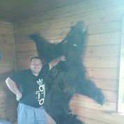 ���������� ����������, ������� �������, 41