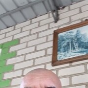   ,  , 41
