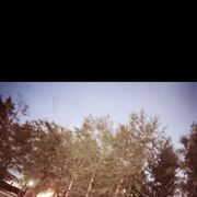 ���������� ������������, ���� ������� �����, 26 ���, ������������ ��� ������, ����� � ���������, c�������� ���������, ���������