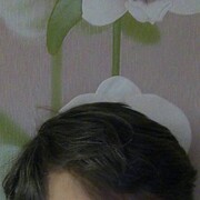 ���������� �����������, ���� ������� ���������, 54 ����, ������������ ��� ������, ����� � ���������, ���������